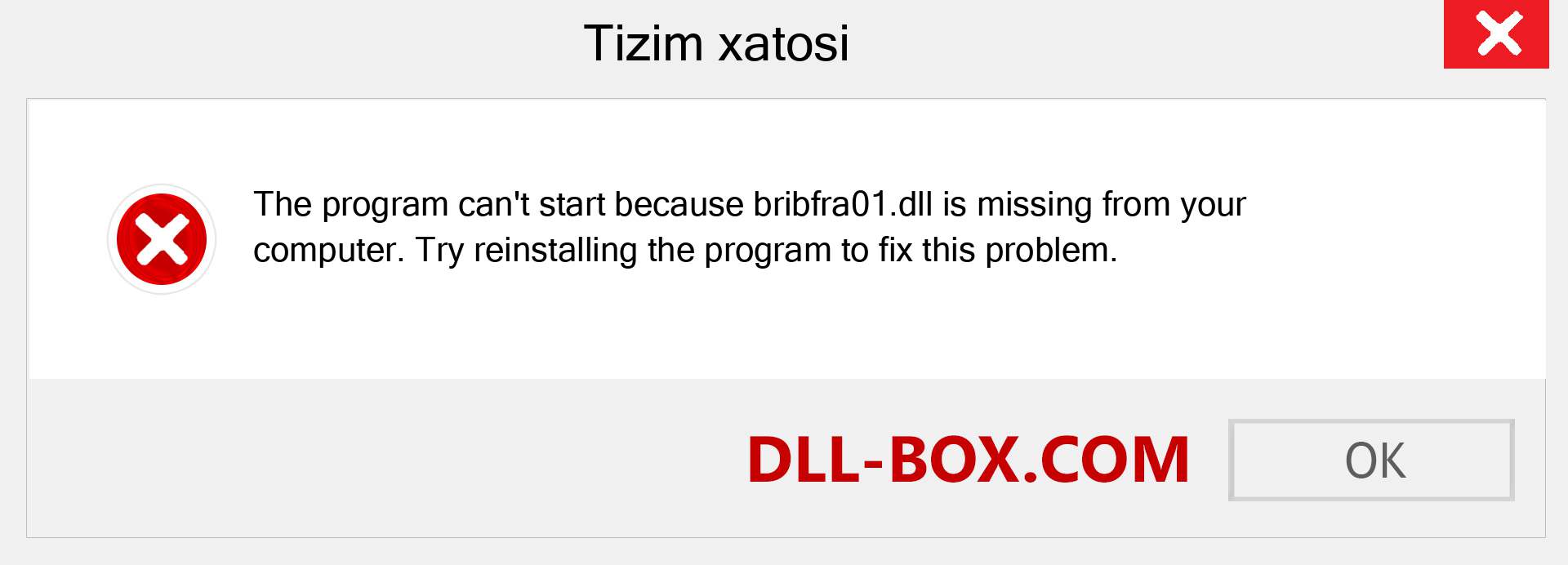 bribfra01.dll fayli yo'qolganmi?. Windows 7, 8, 10 uchun yuklab olish - Windowsda bribfra01 dll etishmayotgan xatoni tuzating, rasmlar, rasmlar